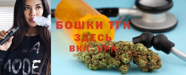 амф Новозыбков