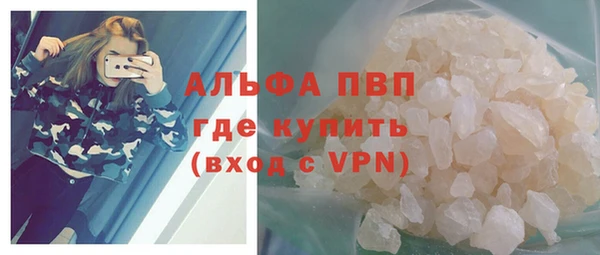 амф Новозыбков