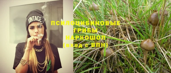 амф Новозыбков