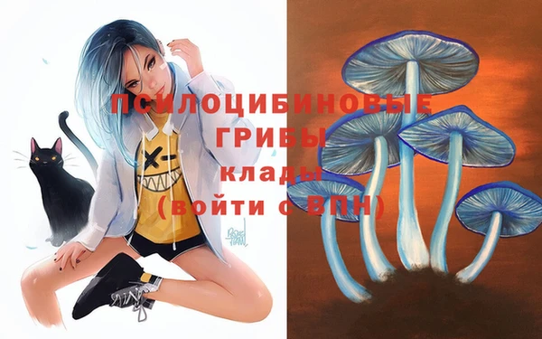 кокаин VHQ Новодвинск