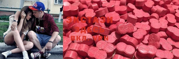 амф Новозыбков