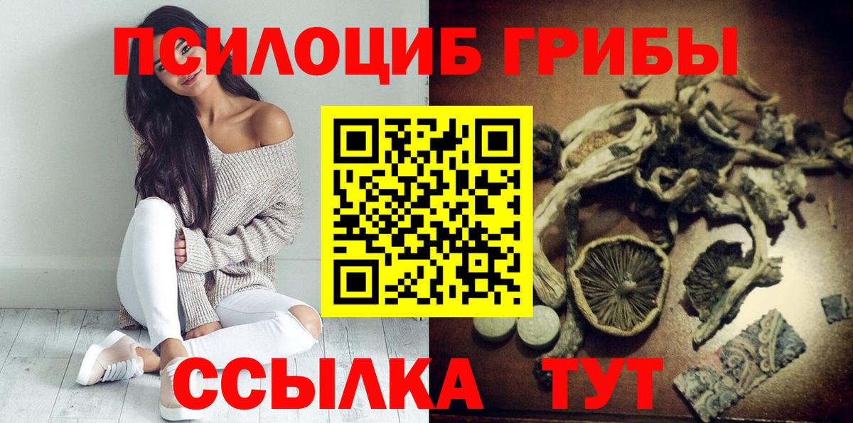 Псилоцибиновые грибы мицелий Сафоново