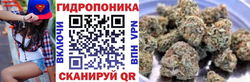 Конопля OG Kush  ссылка на мегу   Сафоново  купить наркоту 