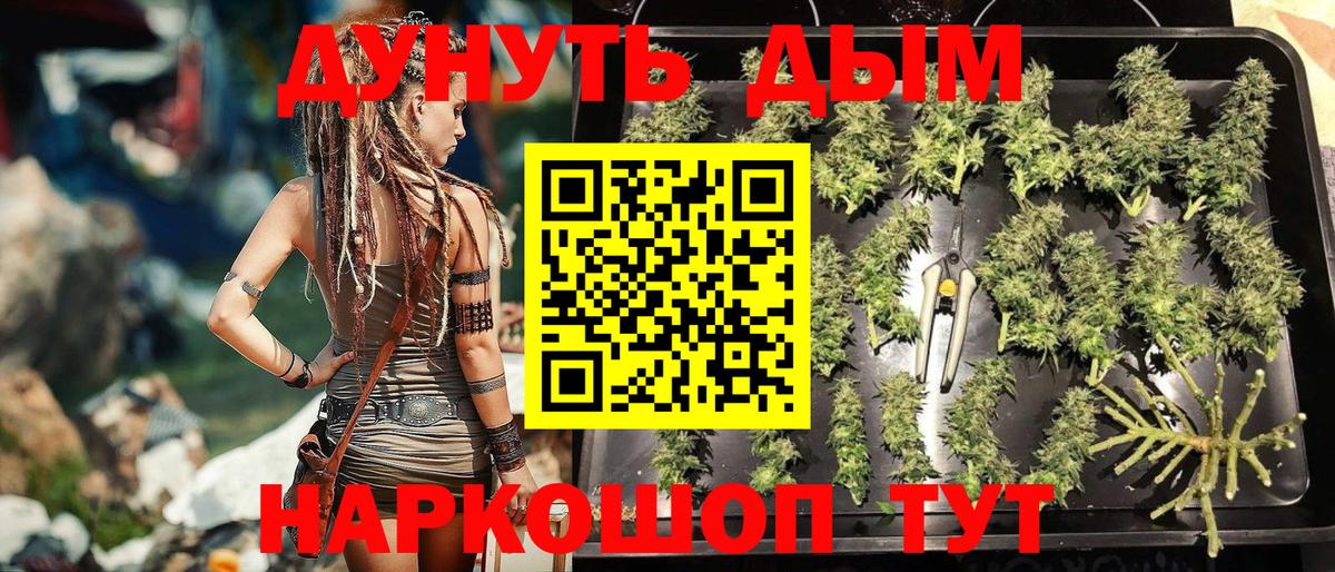 Бошки марихуана индика  Марихуана конопля  Сафоново  Канабис план  Вход с VPN 